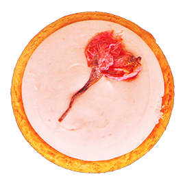 ヤドカリチーズケーキ 桜