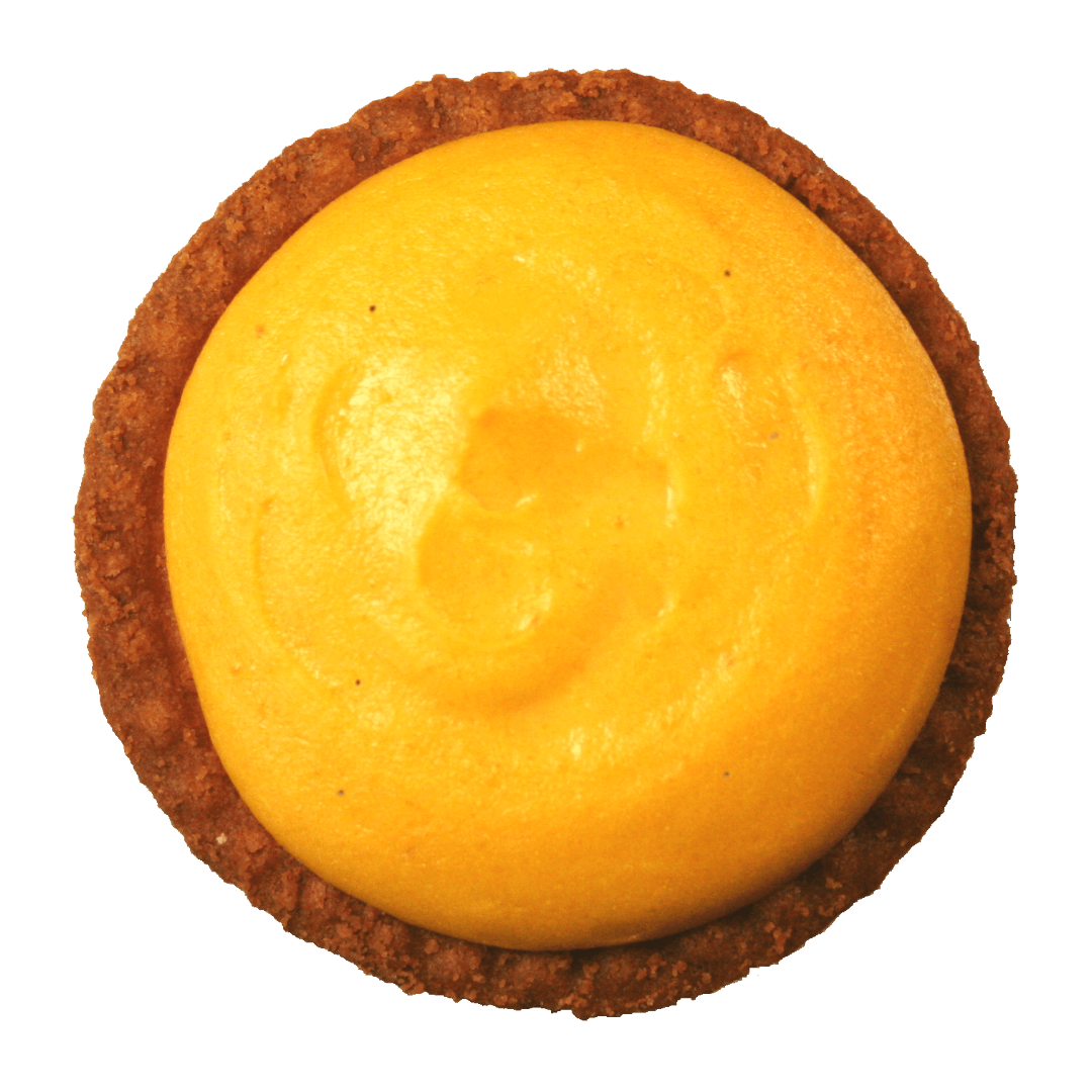 ヤドカリチーズケーキ 杏子の蜜煮チーズケーキ