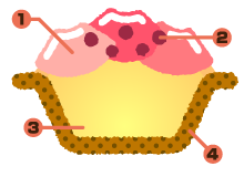 ヤドカリチーズケーキ 桃ごろん