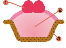 ヤドカリチーズケーキ 木苺の姫りぼん